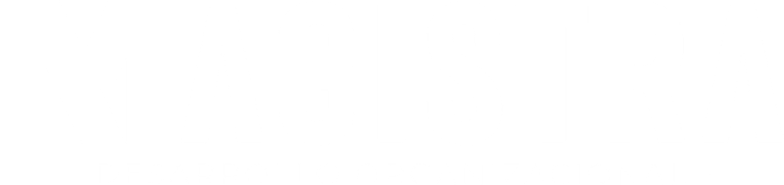 Magistra Desarrollo Organizacional